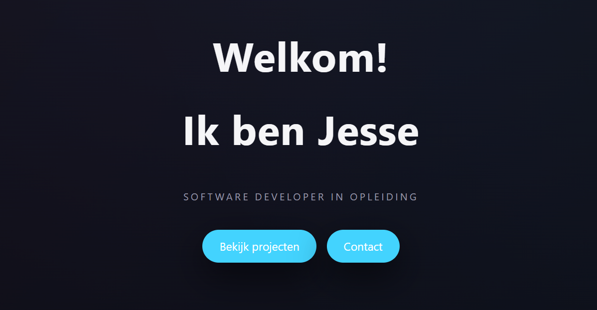 Screenshot van het Portfolio project